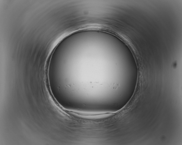 X0000116391475200912161513