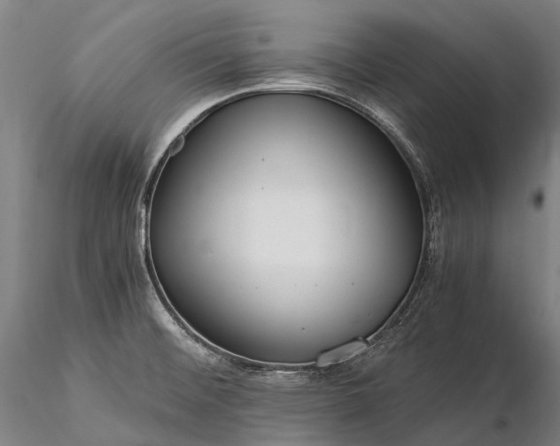 X0000116391476200912161513