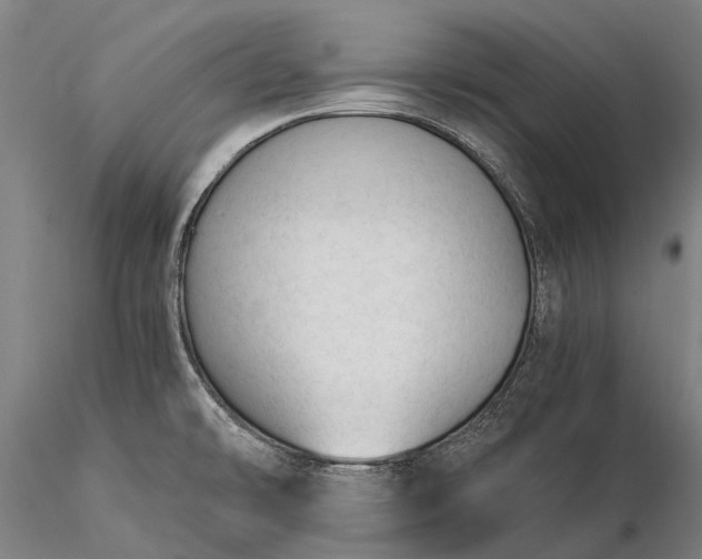 X0000116391478200912161513