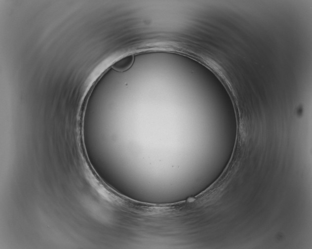 X0000116391482200912161513