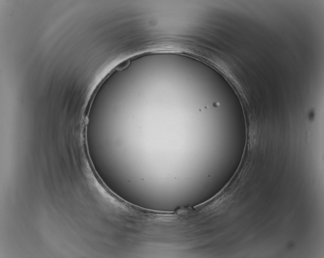 X0000116391484200912161513