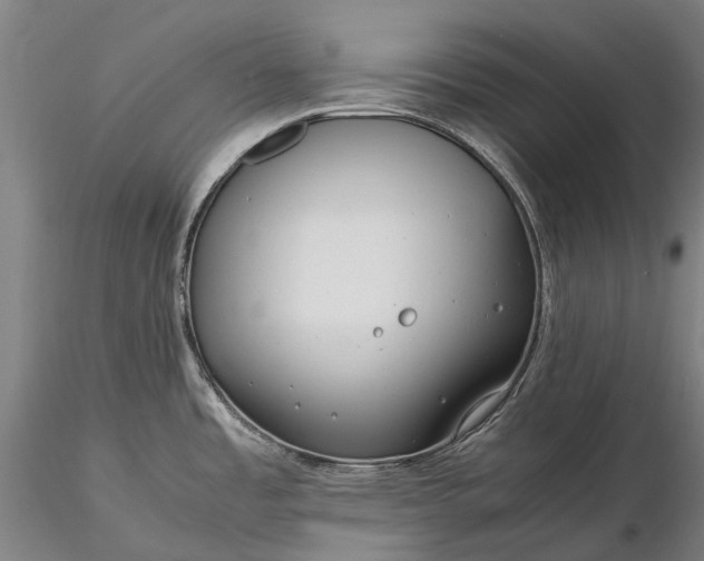 X0000116391485200912161513