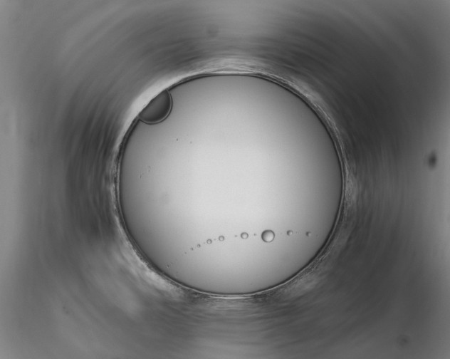 X0000116391486200912161513