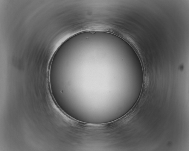 X0000116391487200912161513