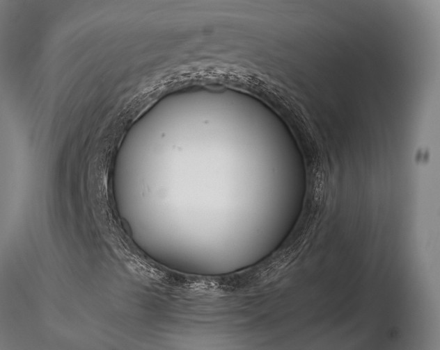 X0000116391489200912161512