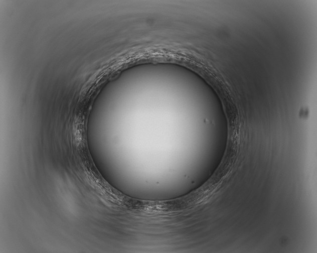 X0000116391490200912161512