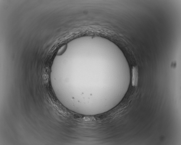 X0000116391491200912161512