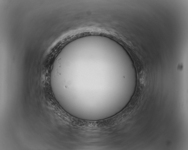 X0000116391495200912161512