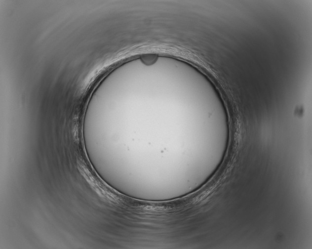 X0000116391499200912161512