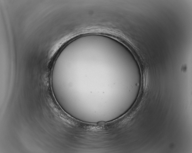X0000116391501200912161512
