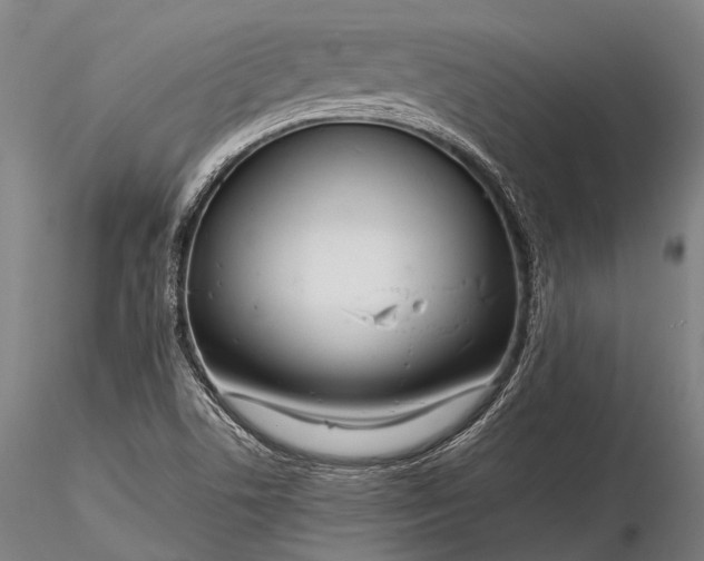 X0000116391506200912161512