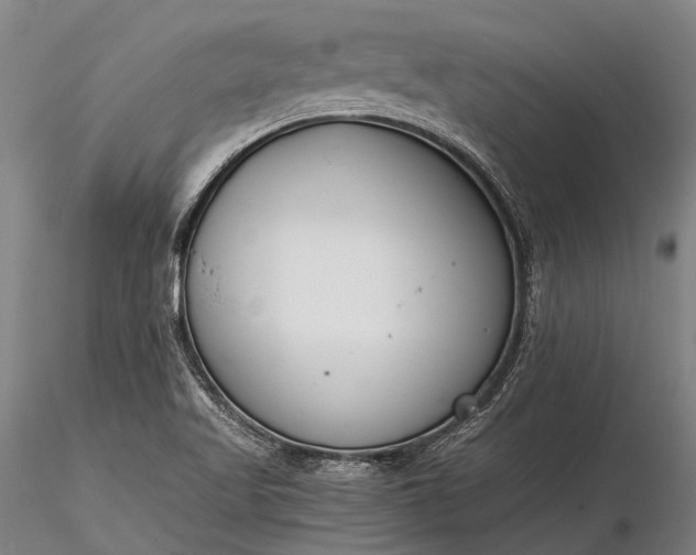 X0000116391509200912161512