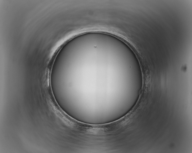 X0000116391510200912161512
