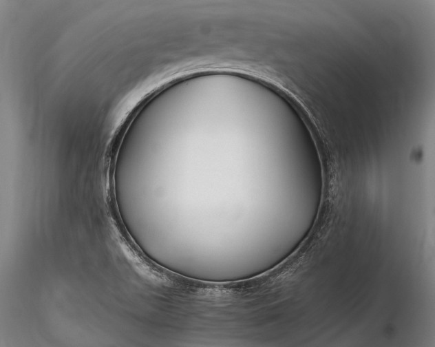 X0000116391511200912161512