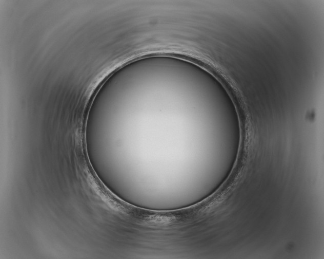 X0000116391513200912161512
