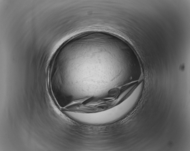 X0000116391515200912161512