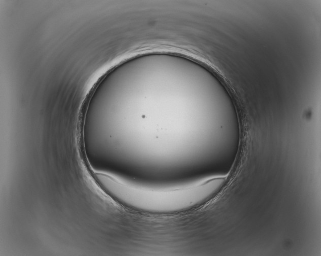 X0000116391518200912161512