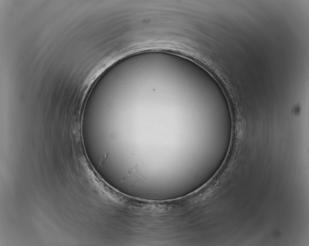 X0000116391521200912161512