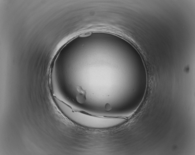 X0000116391522200912161512