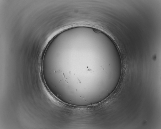 X0000116391523200912161512