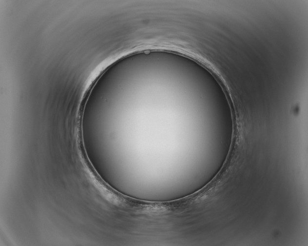 X0000116391525200912161512