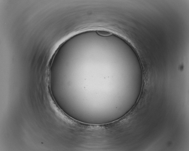 X0000116391526200912161512