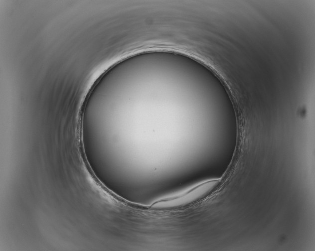 X0000116391527200912161512