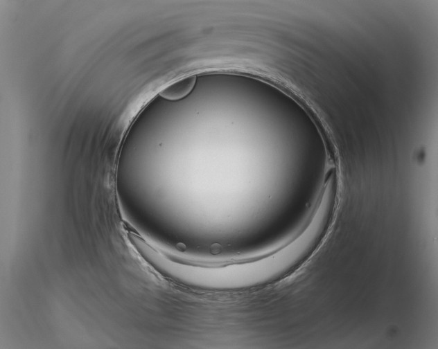 X0000116391529200912161513