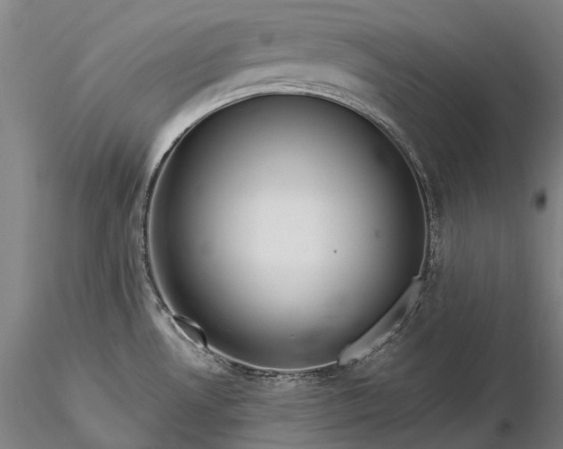 X0000116391530200912161513