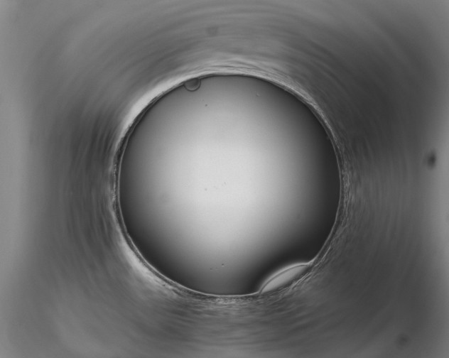 X0000116391531200912161513