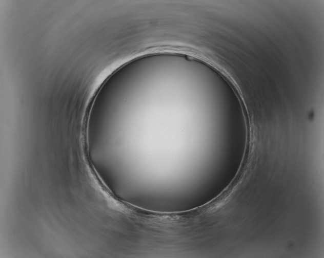 X0000116391533200912161513