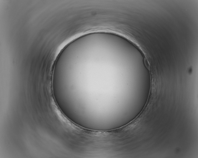 X0000116391534200912161513