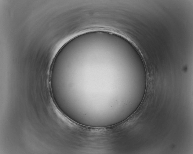 X0000116391535200912161513