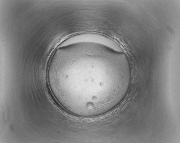 X0000116390002200912231118