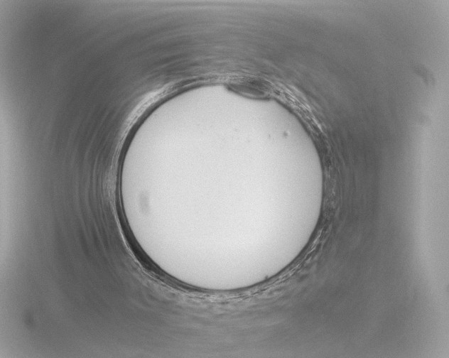 X0000116390003200912231118