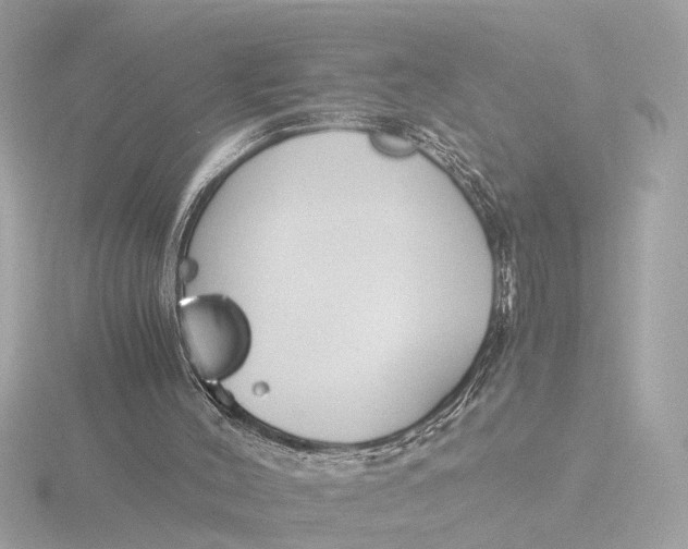 X0000116390004200912231118