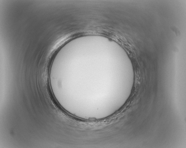 X0000116390005200912231118