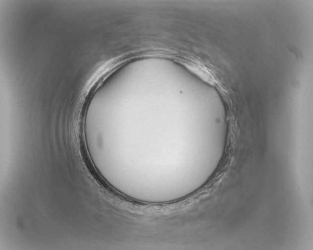 X0000116390007200912231118