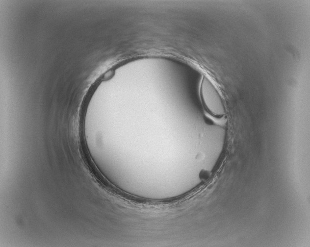 X0000116390008200912231118