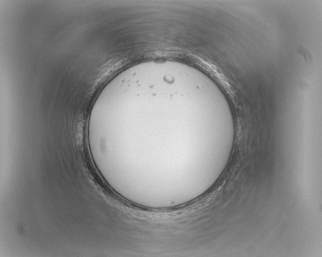 X0000116390010200912231118