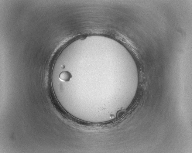 X0000116390012200912231118