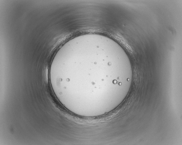 X0000116390014200912231118