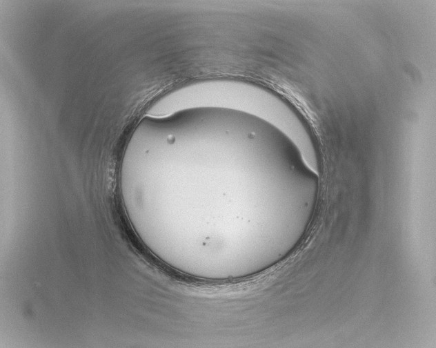 X0000116390017200912231118