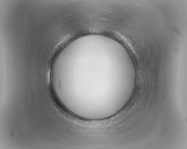 X0000116390019200912231118