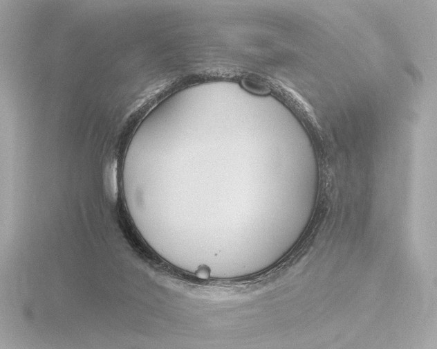 X0000116390020200912231118