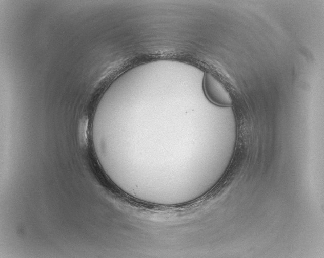 X0000116390024200912231118