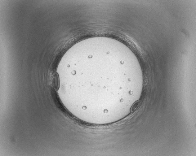 X0000116390025200912231118