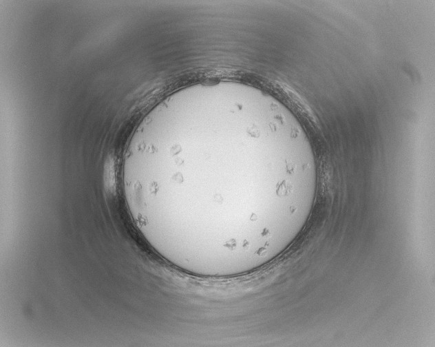 X0000116390026200912231118