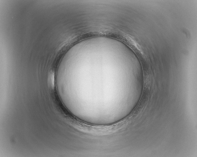 X0000116390027200912231118