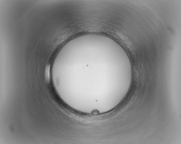 X0000116390028200912231118